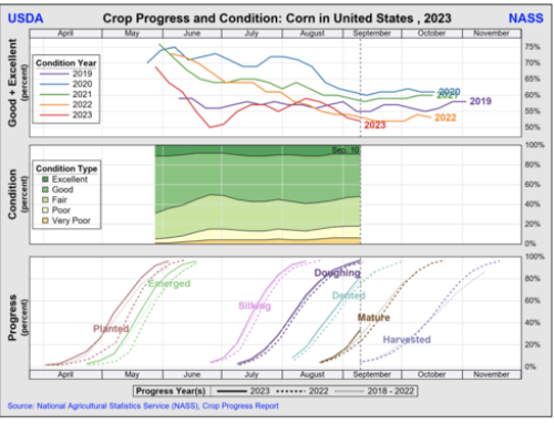 U.S. Corn, Soybean Conditions: “Hovering At Their Lowest Levels In A Decade”