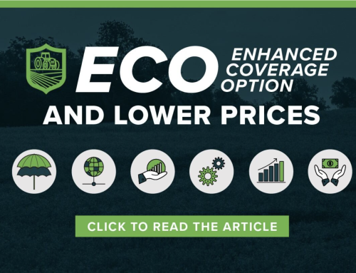 ECO and Lower Prices