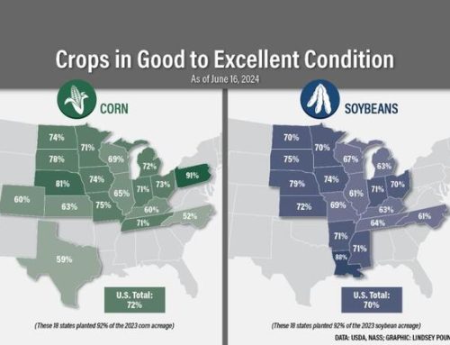 USDA Lowers Its Crop Condition Ratings, 72% Of Corn, 70% Of Soybeans Are Good To Excellent