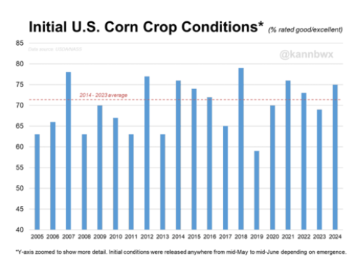 Corn Condition Off To Best Start Since 2021