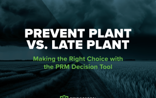 Prevent Plant vs Late Plant