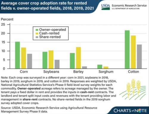 Owner-Operators And Cash-Rent Farmers Lead Cover Crop Adoption