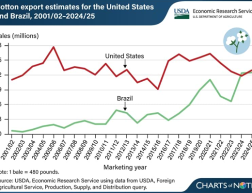 USDA Reports Brazil Is Top Global Competitor For Cotton Exports