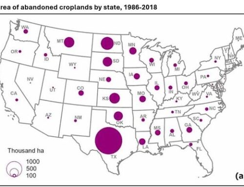 New Study Finds 30 Million Acres Of Cropland Have Been Abandoned Since 1986