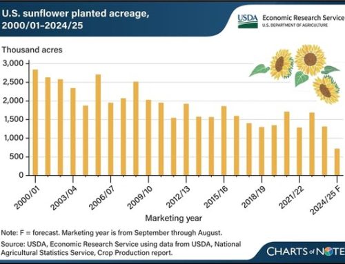 U.S. Sunflower Acreage Falls To New Low Following Expansion Of  Other Oilseed Crops