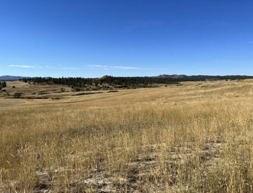 Historic $2 Million Carbon Investment Supports 38,000-acre Family Ranch In Montana