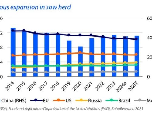 RaboResearch Issues Global Pork Outlook For 2025