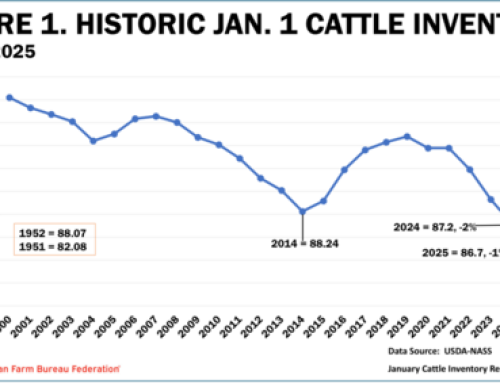 Cattle Inventory Continues Contraction