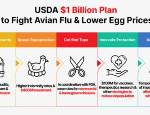 USDA Invests Up To $1 Billion To Combat Avian Flu And Reduce Egg Prices