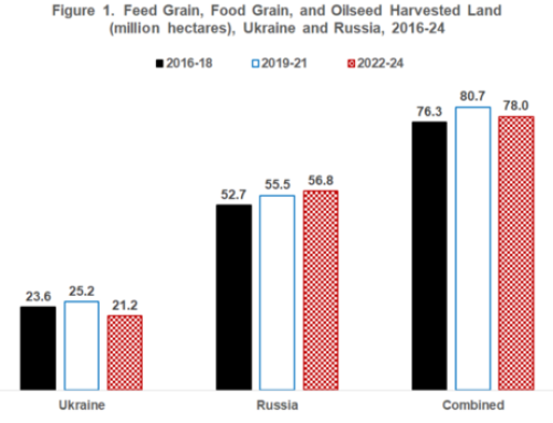 How The Was Has Impacted Ukraine And Russia’s Agriculture Output