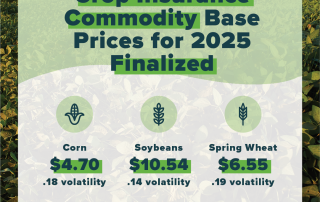 Base Prices 2025