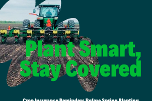 Spring Planting 2025