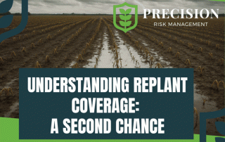 Understanding Replant