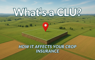CLU Acres