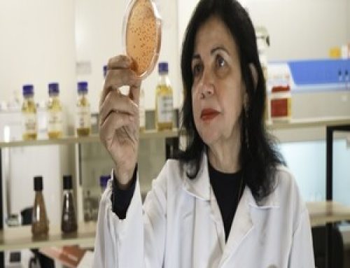 Brazilian Microbiologist Dr. Mariangela Hungria Receives The 2025 World Food Prize Laureate
