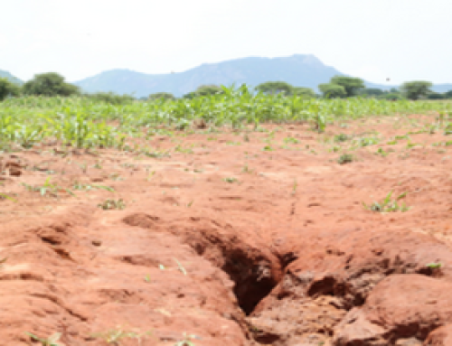 U Of IL Study: AI Methodology Improves Gully Erosion