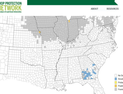 Two Midwest States Confirm Tar Spot in 2025