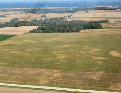 Aerial Application Saves Corn From Severe Tar Spot Infection