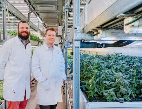 Corteva And Phytoform Partner On AI To Boost Disease Resistance In Corn