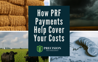 How PRF Payments Cover Costs