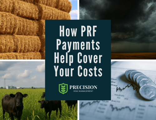 How PRF Payments Help Cover Your Costs