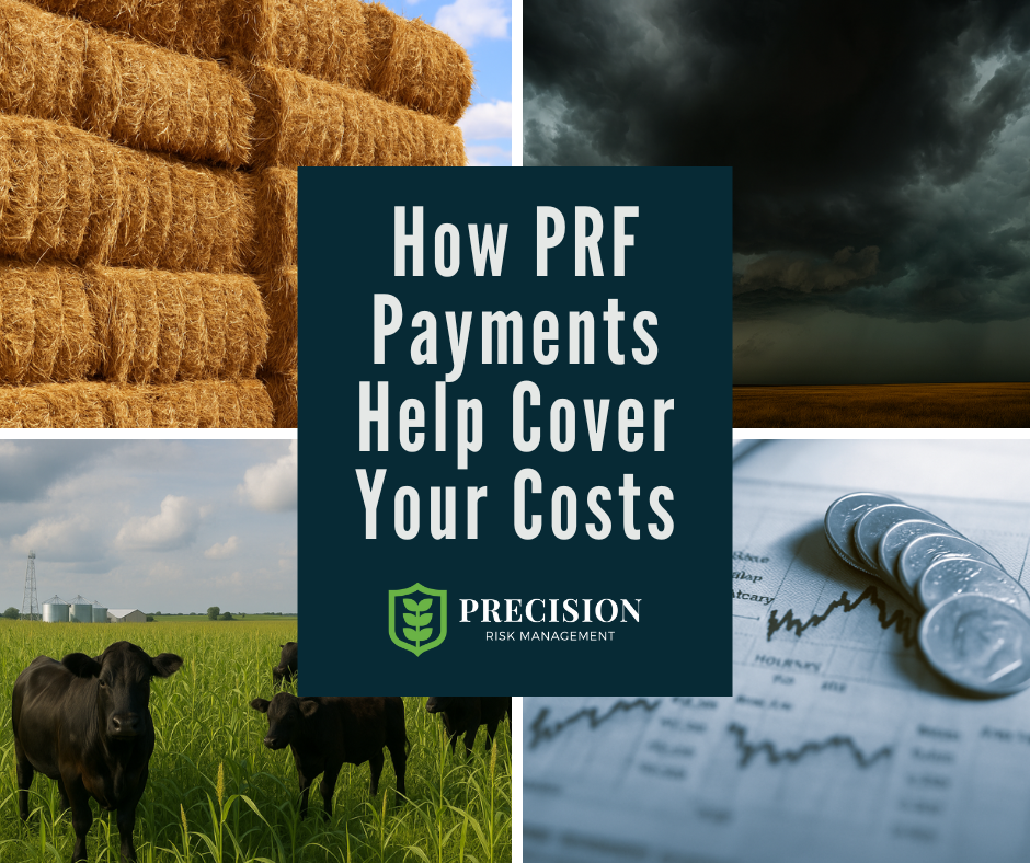 How PRF Payments Cover Costs