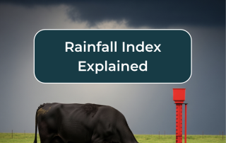 Rainfall Index Explained