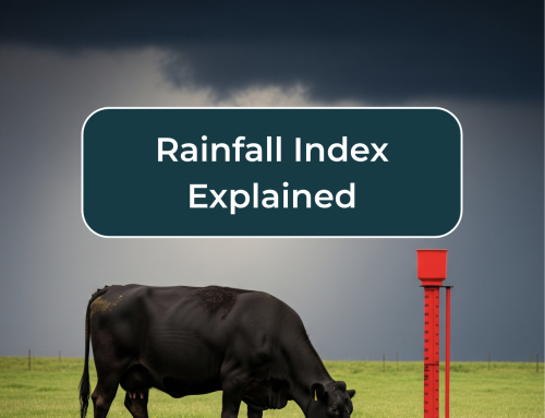Rainfall Index Explained