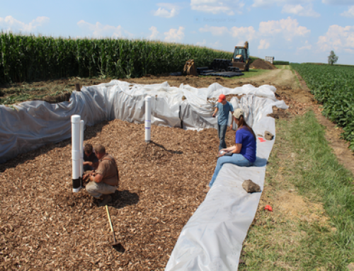 Bioreactors Reduce Phosphorus From Agricultural Drainage Water, Illinois Study Shows