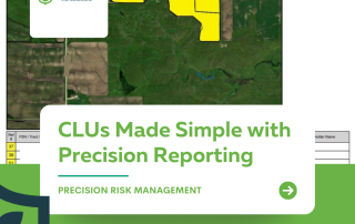 CLU and Precision