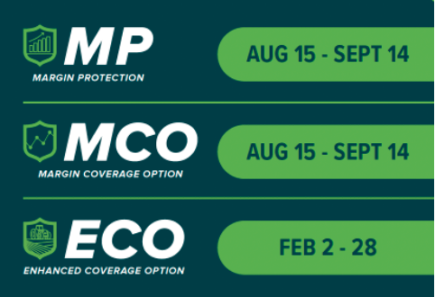 Price Discovery Period