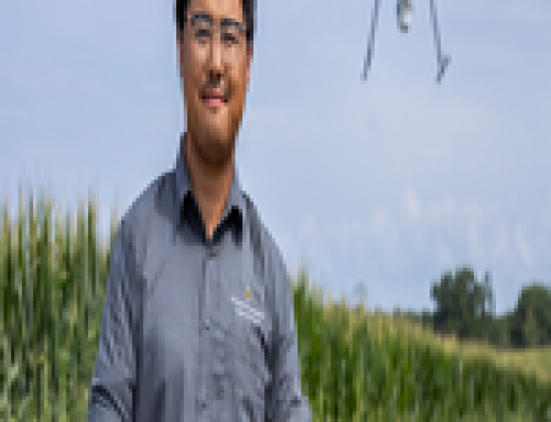 Drones Can More Efficiently Measure The Health Of Corn Plants, Study Finds
