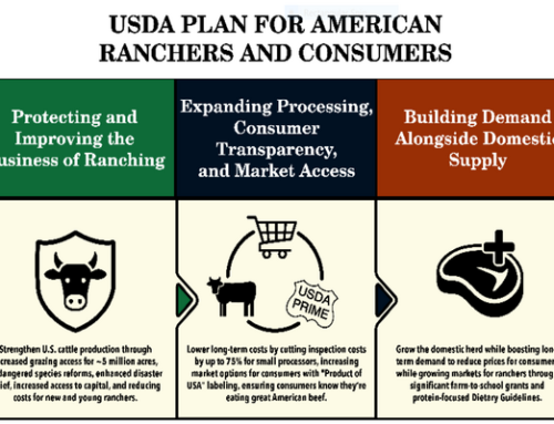 Ag Secretary Rollins Announces Plan For American Ranchers And Consumers