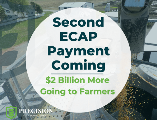 Second ECAP Payments Are Coming: What Farmers Need to Know