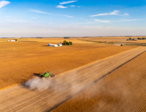 U Of Illinois Research: Once Dominant, U.S. Agricultural Exports Falter Amid Trade Disputes And Rising Competition