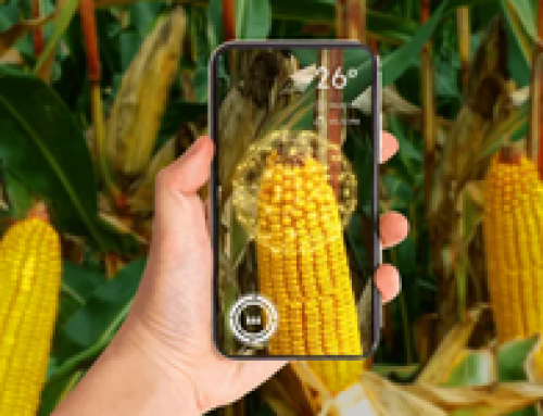 Syngenta Opens Its Cropwise Digital Platform To Developers