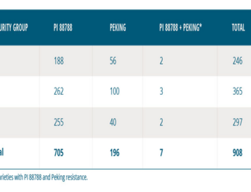 The SCN Coalition: Over 900 SCN-Resistant Soybean Varieties Available In 2026