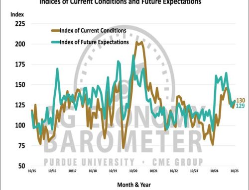 Livestock Sector Optimism Fuels A Modest Rise In Farmer Sentiment