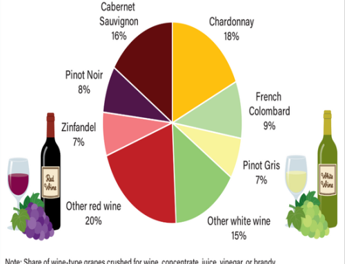 Chardonnay And Cabernet Sauvignon Are The Leading Wine Grape Varieties