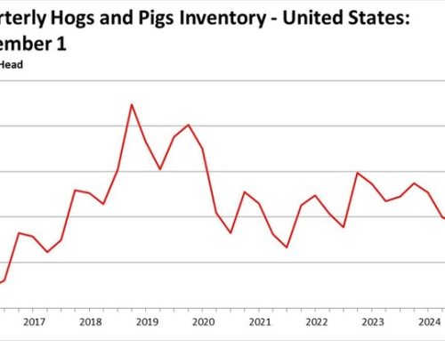 USDA: Hog Inventory Up 1%