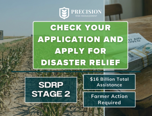 Check Your Application and Apply for Disaster Relief: SDRP Stage 2