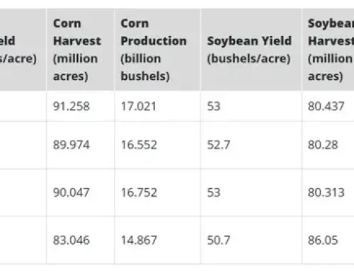 Corn, Soybean Prices Plunge Following USDA Report