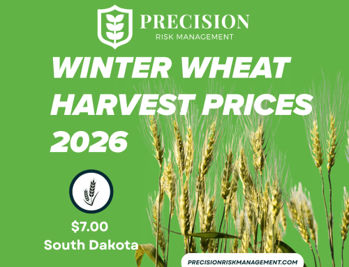 Winter Wheat Harvest Prices 2026 